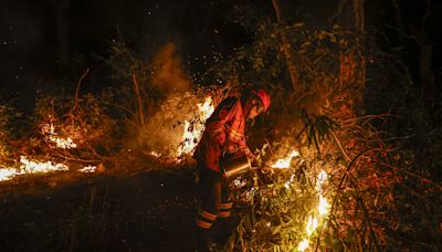 Los incendios en el Pantanal de Brasil baten un récord histórico para un mes de junio