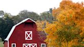 When will Nashville see peak fall foliage?