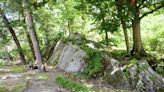 Greenwich tree hearing focused more on Central Middle School's iconic large rock than the trees