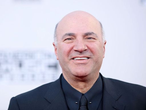 'Shark Tank' star Kevin O'Leary said he wants to crowdfund buying TikTok