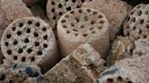 How biomass briquettes are transforming supply chain dynamics towards sustainability?