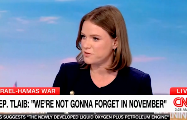 Former Biden aide annoyed on CNN after James Carville says Dems are 'full of s---': Be ‘constructive'