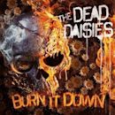 Burn It Down (album)