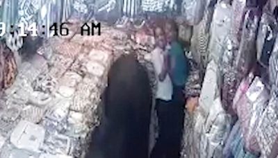 Wild bulls charge into a store in India and trap two women inside