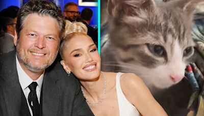 Gwen Stefani and Blake Shelton Announce New Addition to Their Family!