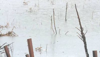 Floods submerge farmlands in Taiwan as Typhoon Gaemi brings heavy rain