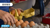 【事實釐清】網傳「最近可能有大盤中盤囤積過期雞蛋釋出，暫時不吃雞蛋免得買到壞蛋」？