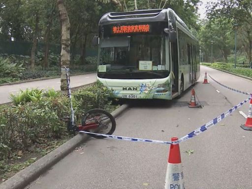 迪士尼神奇道巴士撞單車 女子昏迷送院