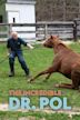 The Incredible Dr. Pol Compilations