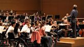 'Side-by-Side' youth, chamber orchestras concert to be held at Hamel Music Center