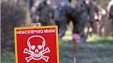 How to avoid landmines and what to do if you find one