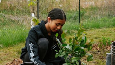 TRCA celebrates 15 years of Peel EcoSchools program