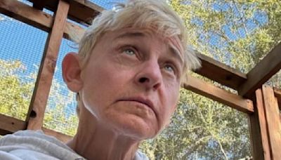 'You Know The Truth': Ellen DeGeneres Opens Up About Talk Show Controversy; Calls It 'Devastating'