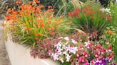 See gorgeous garden at Mountbatten this weekend