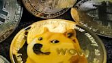 Elon Musk hit with dogecoin insider trading lawsuit