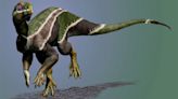 Rare North American dinosaur named for two-faced Roman god