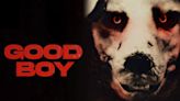 Dónde ver "Good Boy", la perturbadora película del hombre que actúa como perro