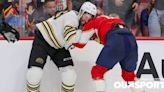 Boston Bruins and Florida Panthers brawl was yet another NHL straight-guy cat fight