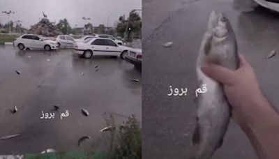 伊朗「天降魚雨」！活魚彈跳亂交通 網：以色列不射彈改射魚│TVBS新聞網