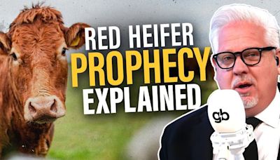 What Happens if Israel SACRIFICES a Red Heifer? | NewsRadio WFLA | The Glenn Beck Program
