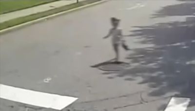 Dashcam shows four-year-old wandering into busy intersection