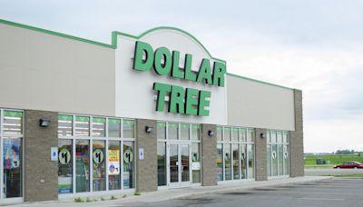 Ofertas en Dollar Tree: productos recomendados aparecen con $16 de descuento - El Diario NY