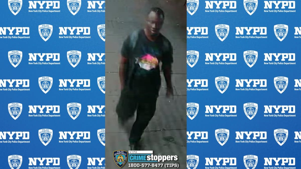 Cops hunt ‘direction-seeking' rapist in the Bronx