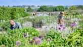 Gardening and moderate physical activities ‘may cut depression risk by 23%’