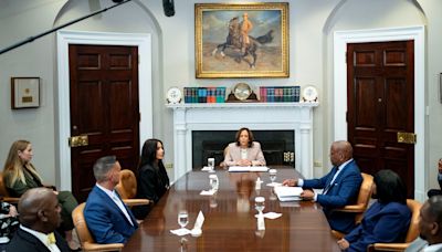 US VP Harris hosts Kim Kardashian to discuss criminal justice reform