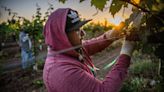 Sacramento State student is halfway to his master’s degree. He’s still working in the fields