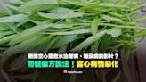 【錯誤】網傳空心菜煮水治腎病、糖尿病的影片？勿信偏方說法！當心病情惡化