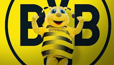 Borussia Dortmund: orígenes, significado del BVB, colores y mascota