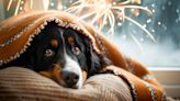 Consejos para cuidar a tu mascota durante los fuegos artificiales del 4 de julio