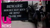 King Charles III’s Guard Horse Bites Tourist Posing for Photo at Household Cavalry Museum in London