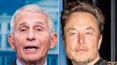 Anthony Fauci Grills Elon Musk's 'Craziness' For Call To Prosecute Him
