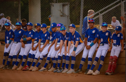 Goodlettsville Little League boys on verge of Little League World Series