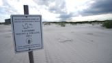 As weather warms, nesting shorebirds and sea turtles join people heading to NC's beaches