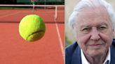 Sorry, What ― David Attenborough Is The Reason Tennis Balls Are Yellow
