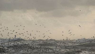 La alarmante revelación que podría hacer la llegada del fenómeno La Niña sobre el mundo - La Tercera