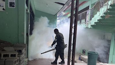 Honduras puede afrontar en 2024 una epidemia de dengue "más agresiva" que la de 2019