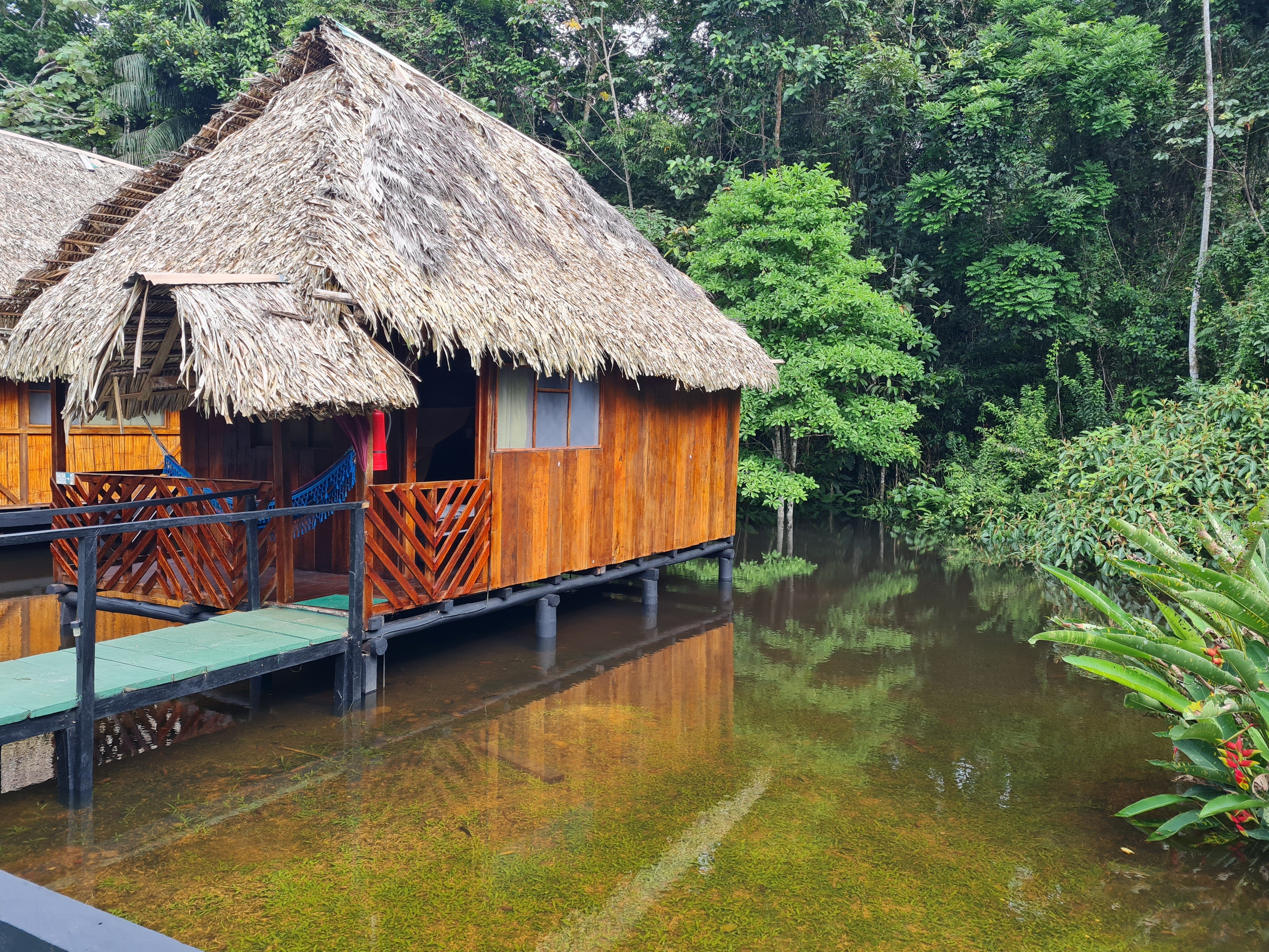 I booked an all-inclusive trip to the Amazon rainforest, and I can't believe how much I got for $90 a day