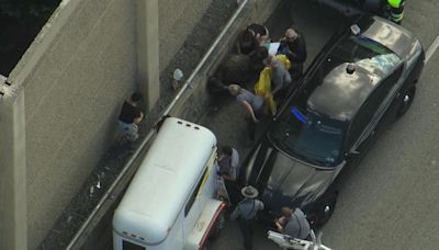 Runaway pig captured after escaping onto Schuylkill Expressway near King of Prussia