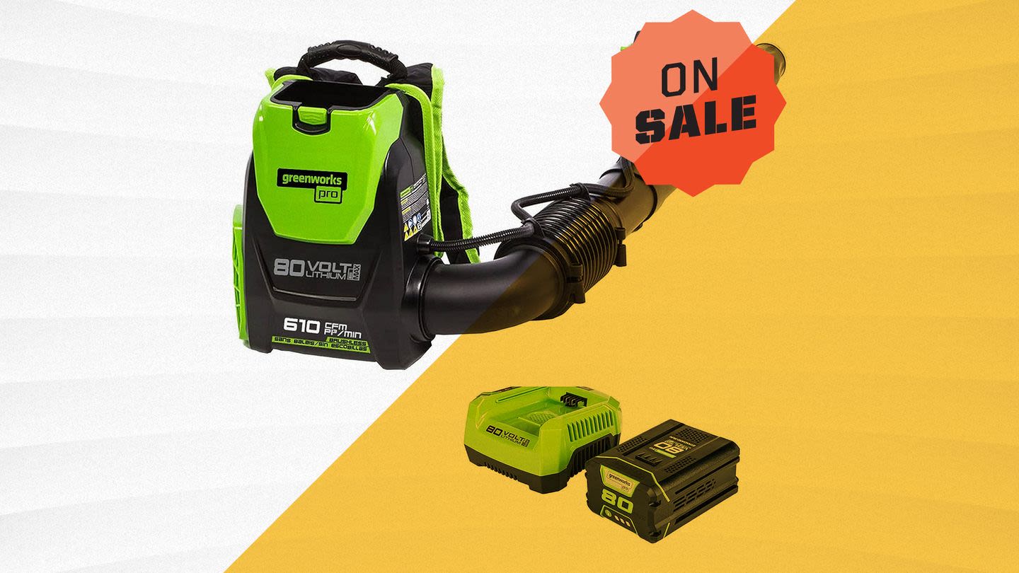 Score Over 30% Off This Editor-Tested Backpack Leaf Blower