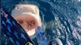 Terrifying moment marine scientist finds herself inches away from tiger shark nicknamed Queen Nikki