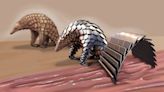 This pangolin-inspired robot can curl up into a healing ball