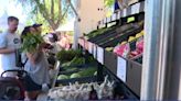 Mobile farmer's market to bring affordable, fresh produce to underserved Yolo County communities