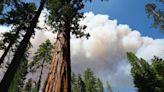 Going to Yosemite on vacation? Here’s how the Washburn Fire will impact your visit