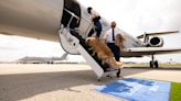 The world's first doggy jet service will cost you $6K for a one-way ticket