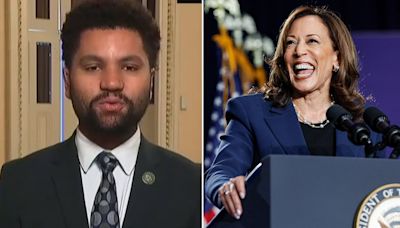 Florida Dem. likens Kamala Harris a 'DEI hire' to using the n-word