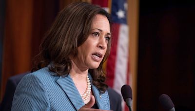5 Ways That a Kamala Harris Presidency Could Impact the Lower Middle Class
